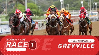 20230513 Hollywoodbets Greyville Express Clip Race 1 won by SECRET IDENTITY