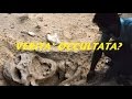 Scheletri giganti in Sardegna: prima testimonianza
