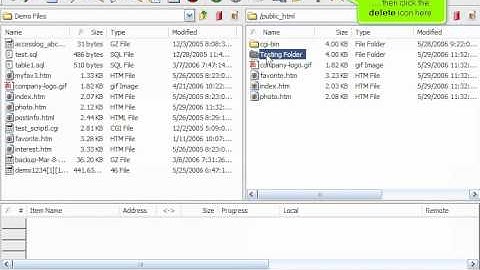 Managing files in CuteFTP by VodaHost web hosting