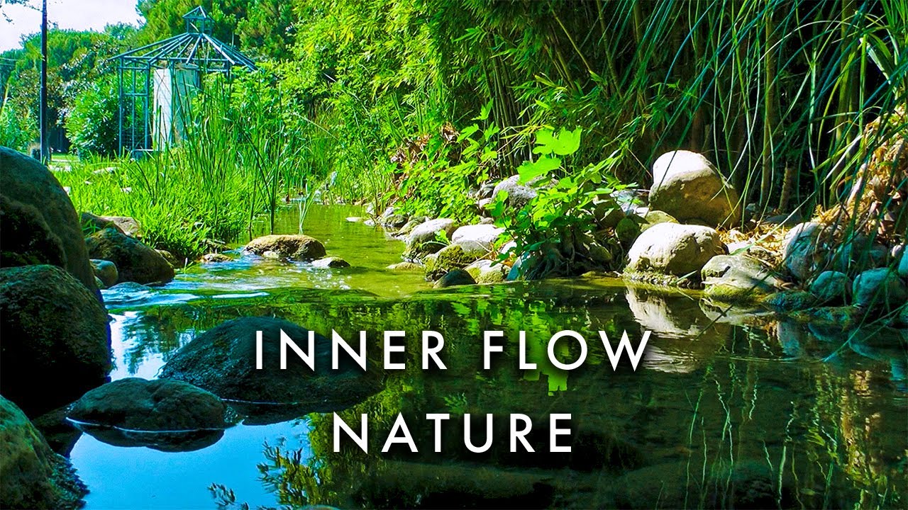 Nature Flow. Apex Inner Flow. Natural flow