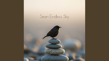 Unfolding Understanding