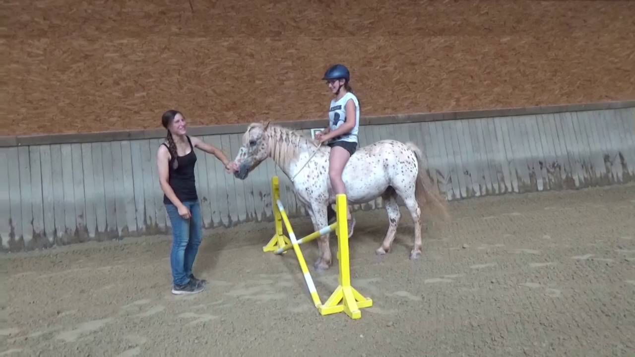 [ FMA ] Ein sehr lustiger Tag am Stall - mit den Ponys - YouTube