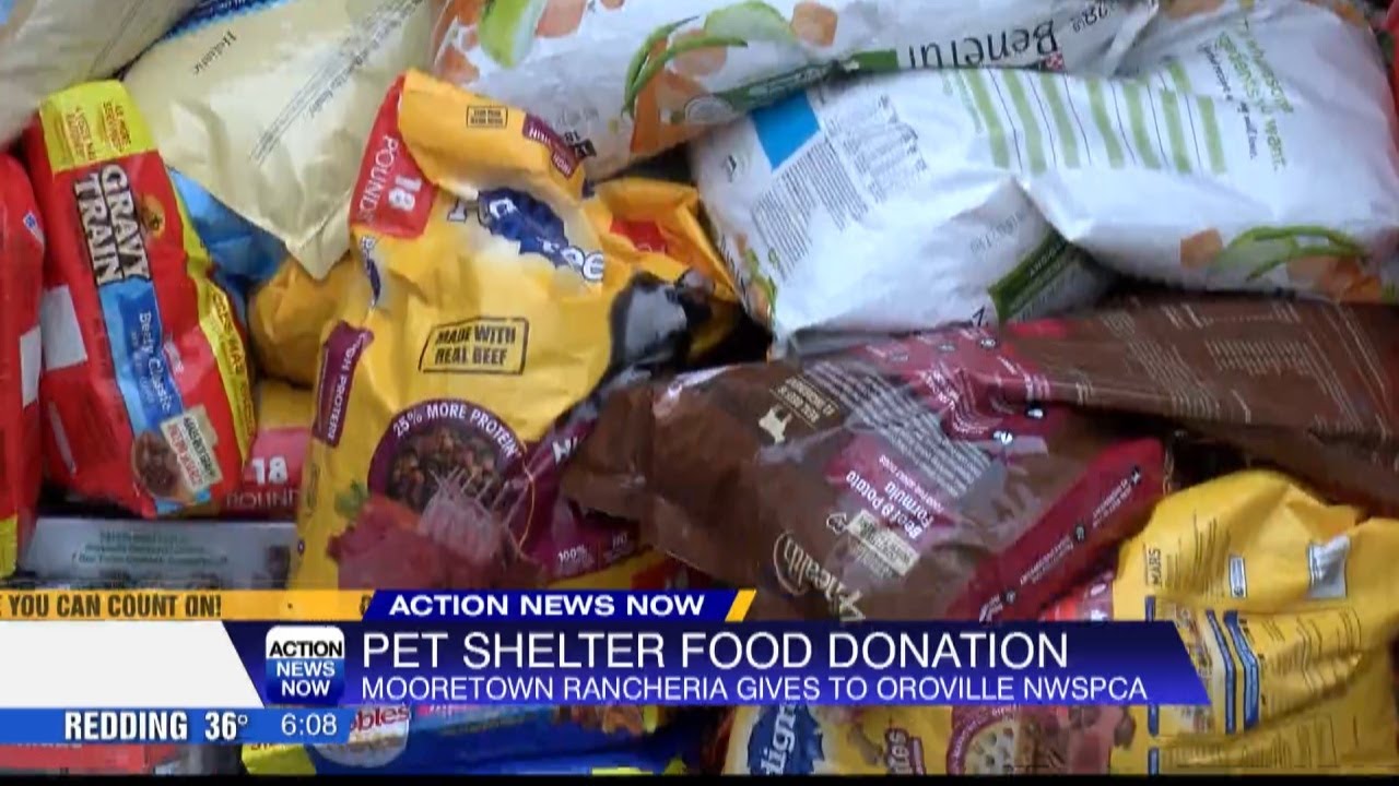 Northwest SPCA Pet Shelter Food Donation Drive YouTube Northwest SPCA Pet Shelter Food Donation Drive YouTube