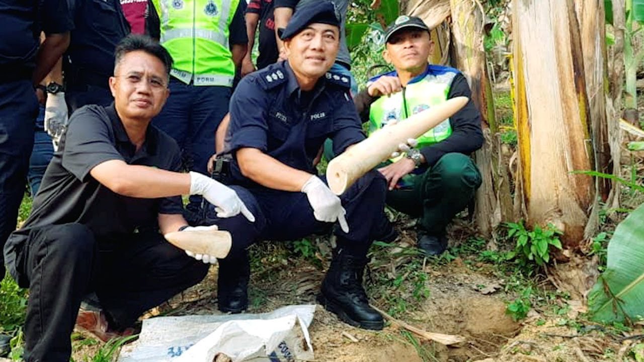 Ni La Orang Kata Ayam Terlepas Tangan Bau Tahi Youtube