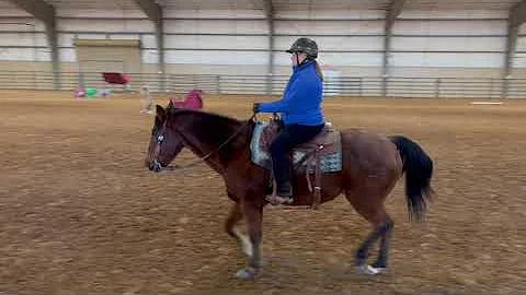 Suzanne Anderson virtual trail 2022 holiday challe...