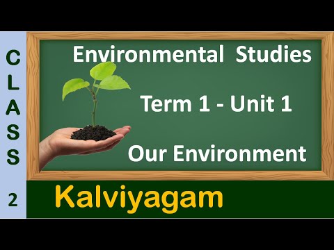 Our Environment |