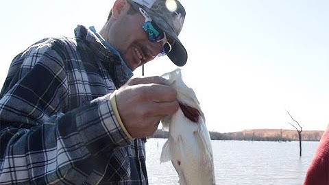 Fishing for pre-spawn crappie on Eufaula Lake