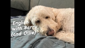 Language Learning Anxiety? No, no, no!