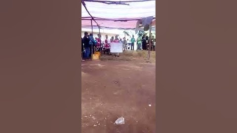 Lwm qaib xyoo tsiab 2018-2019