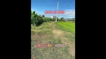 Siêu phẩm đất trồng cây lâu năm hàm liêm cách phan thiết 10km ngay bê tông ô tô 630m2 chỉ 300 triệu