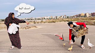 لما تروح السوق مع امك وتشتري بط 🦆😂 السلسيلي