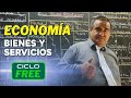 ECONOMÍA  - Bienes y Servicios  [CICLO FREE]