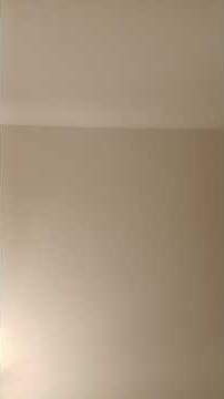 أصالة - شاغل بالي Assala - Shaghl Baly