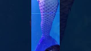 Son Machari सनमछर