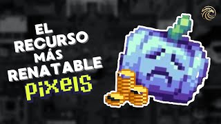 Estrategia de farming en PIXELS ¿La más rentable?