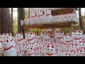 豪徳寺の4000体の招き猫/Gotokuji Temple Cat