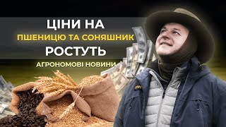 ЦІНИ НА ПШЕНИЦЮ ТА СОНЯШНИК БУДУТЬ РОСТИ. ДОТАЦІЇ СКОРОЧУЮТЬ. БРОНЮВАННЯ ПРАЦЮЄ #агрономовіновини