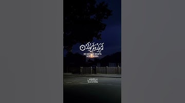 القارئ ماهر المعيقلي | سورة الإخلاص