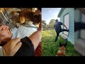 Police K9 Viciously Bites Man Hiding in Shed