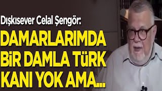 Celal Şengör Damarlarımda Bir Damla Türk Kanı Yok