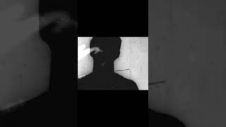 new LP by Through a Glass, Darkly #doomgaze #postrock #ambientmusic #newmusic
