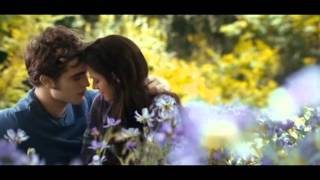 Christina Perri & Steve Kazee- A Thousand Years  (Instrumental) Resimi