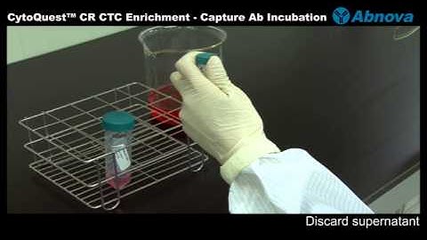 CytoQuest™ CR CTC Enrichment - Capture Ab Incubation