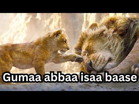 Gumaa Abbaa Isaa Baasee Gara Mooti Tti Dhufe Oromomusic Oromotiktok Afaanoromoo