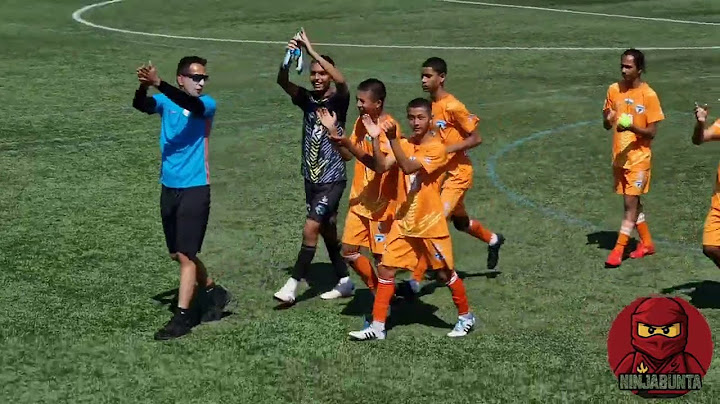 MINERVA WINS 1/4-FINAL 3-1 against SKOTTORP (SWE) in Gothia Cup 2025