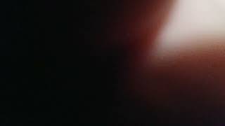 I got two yahtzees in yahtzee (1 bonus on bonus) Wealth