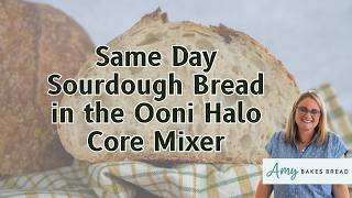 Same Day Sourdough Bread in the Ooni Halo Core Mixer