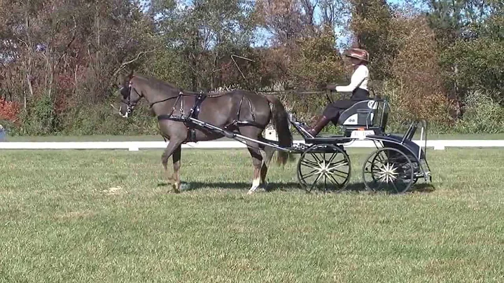 10-26-2013 Brooke Tadlock Garden State CDE Dressage