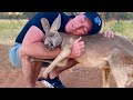 When animals love you by cute way no one does it 