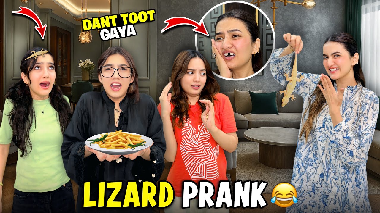 Extreme Lizard🦎 Prank | Sab Ne Cheekhain Maar Di! 😱| Mera Dant Toot Gaya 🦷| Hira Faisal | Sistrology