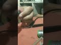 OnePlus Bullets Wireless Z2 chalu nahin ho raha repair #oneplusbulletswireless