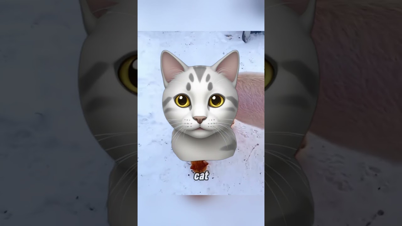 The man RESCUED pig & adopted after its recovery! 🐷😱