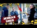 ФОКУСНИК КИНУЛ ЗМЕЮ НА ЛЮДЕЙ | САМЫЕ СМЕШНЫЕ ФОКУСЫ | ПРАНК