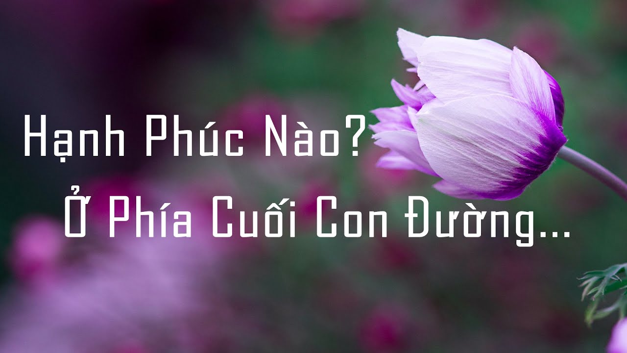 Hạnh Phúc Nào? Ở Phía Cuối Con Đường...