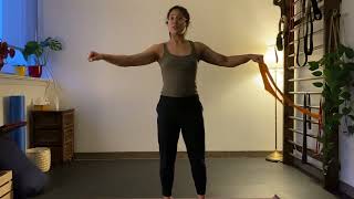 Reverse Band Fly / Band Pull Aparts
