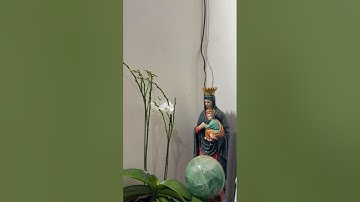 RƯỢU MỚI VÀ BẦU DA MỚI Chuyện bên ly cà phê sáng   CÁI TÔI VÀ CÁCH SỬA TRỊ CÁI TÔI THEO KITÔ GIÁO –