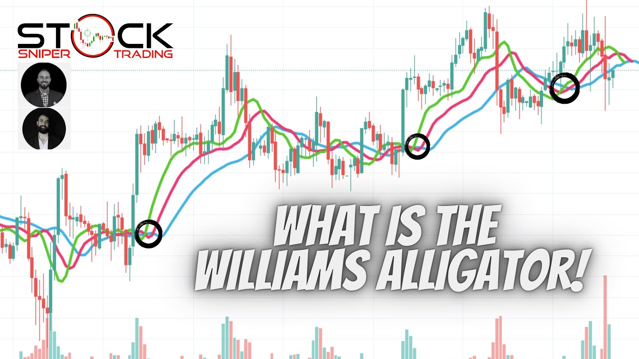 Wiseman alligator indicator