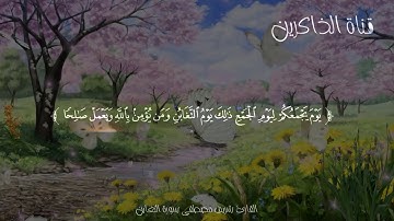 جديد القارئ شريف مصطفى صاحب الحنجره الذهبيه  سورة التغابن كاملة