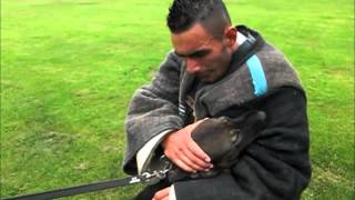 Download Lagu BRN: 22375 Celik's Home Caya MP3