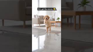 Someone sign this puppy up for a dance competition immediately 😄 #funpage #shortsviral