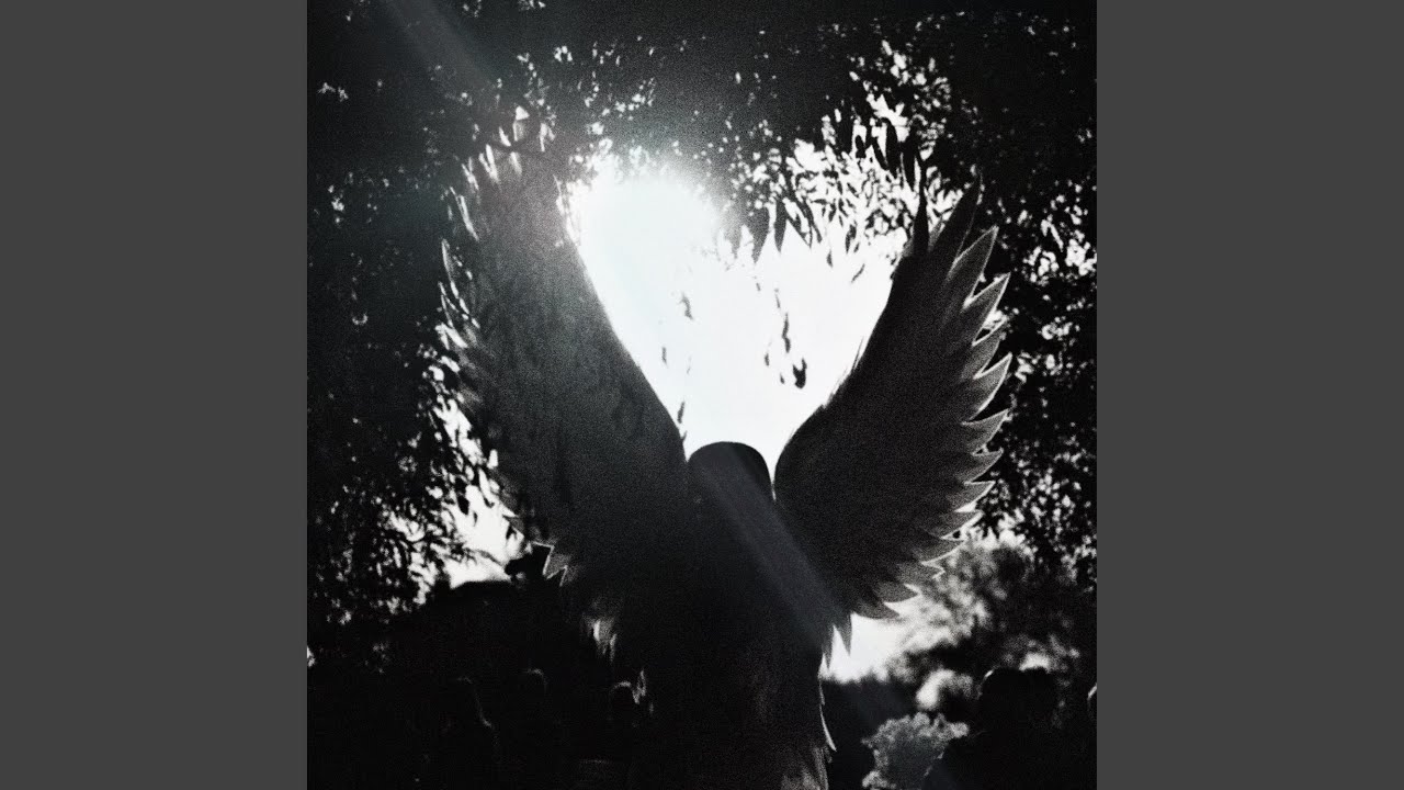 Sleduj zoloft na YouTube