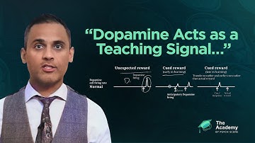 How Maladaptive Learning ‘Drives’ Psychosis and Addiction