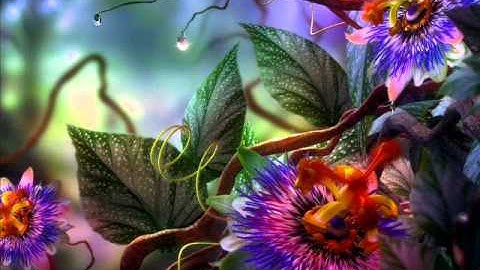 سورة عبس للقارئ لافي العوني