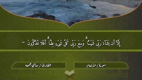 ماتيسر من سورة الأنعام للقارئ سامي جمعة