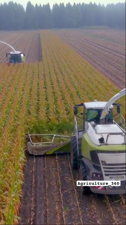 Balai en polypropylène noir (7 cordes) – JNB Distributeur agricole