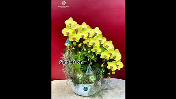 Kỷ niệm 78 ngày Thương Binh - Liệt Sĩ 27/7/2025.